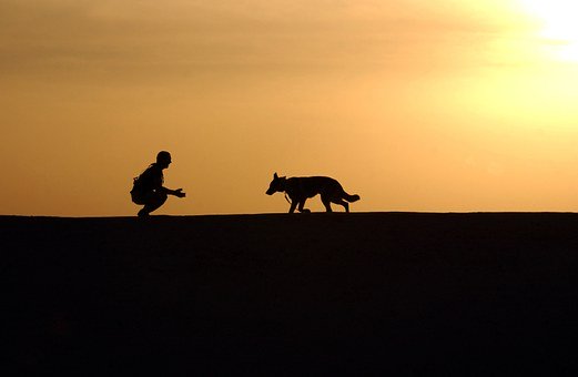 Dog, Trainer, Silhouettes, Sunset