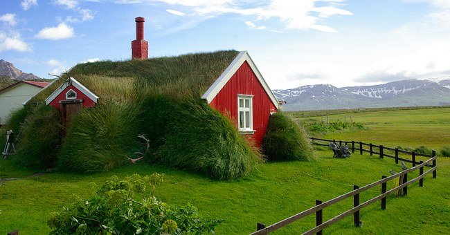 Iceland, Bordafjordur, Roofing, Grass
