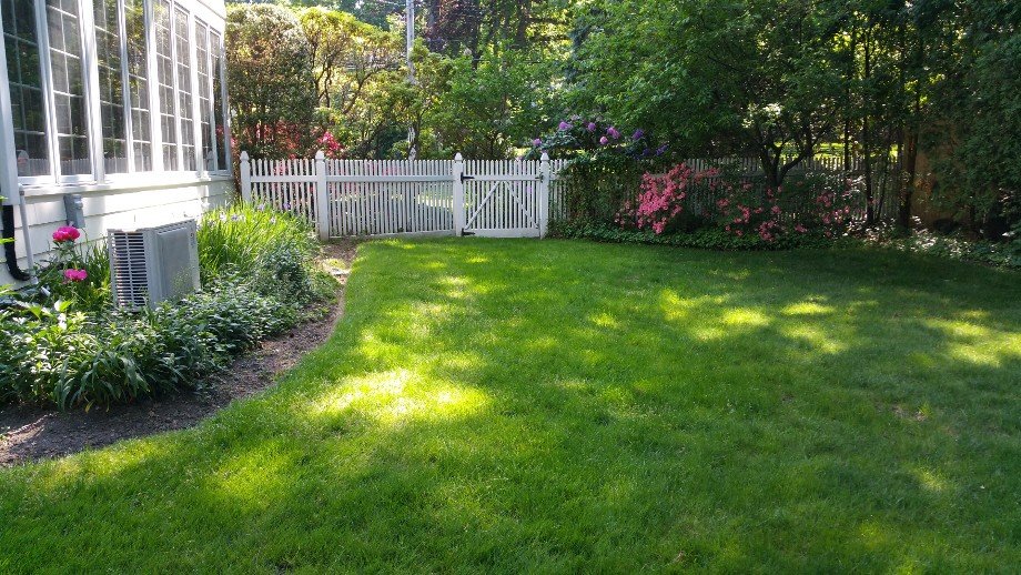 What's Included in Landscaping?