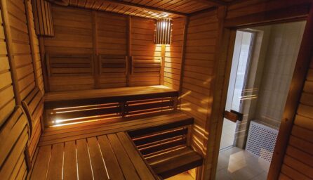 best diy home sauna kits