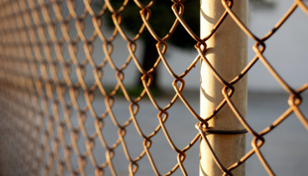 chain link fence installation tailored to philly living