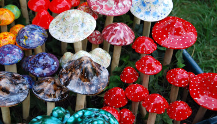 ultimate guide to finding a trusted magic mushroom dispensary