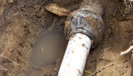 beneath the surface essential guide to sewer line fixes